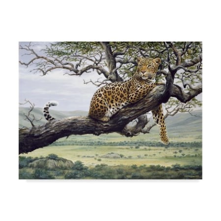 Harro Maass 'Leopard In Tree' Canvas Art,24x32